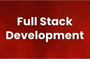 FullStack Development